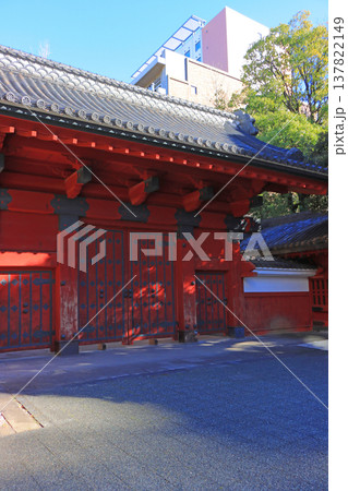 東京都文教区、東京大学赤門の風景 137822149