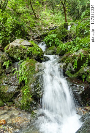 棒ノ折山（棒ノ嶺）登山道の見どころ、白谷沢を流れる清冽な滝と新緑の風景 137822334