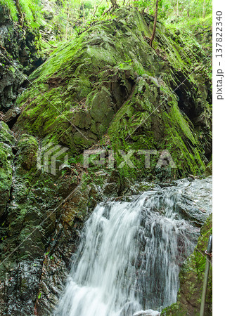 棒ノ折山(棒ノ嶺)の休日ハイキング、白谷沢に流れ落ちる滝と苔むした巨大な岩壁 棒ノ折山(棒ノ嶺)の休日ハイキング、白谷沢に流れ落ちる滝と苔むした巨大な岩壁 137822340
