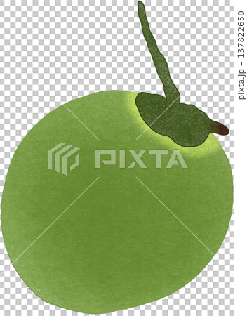 coconut organic fruit	 137822650