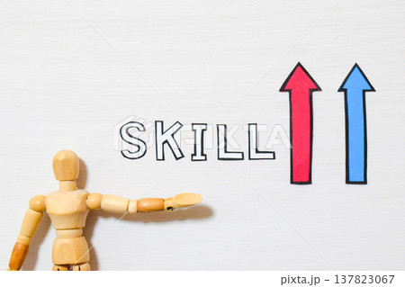 SKILLのイメージ SKILLのイメージ 137823067