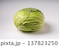 1玉のキャベツ  137823250