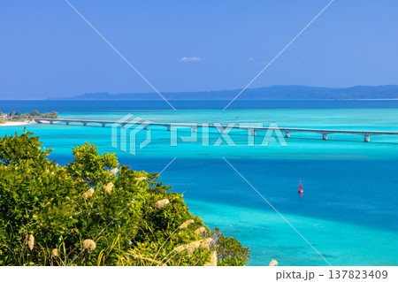 沖縄県国頭郡今帰仁村運天　運天森園地展望台から古宇利大橋と古宇利ブルーの海の景色 137823409