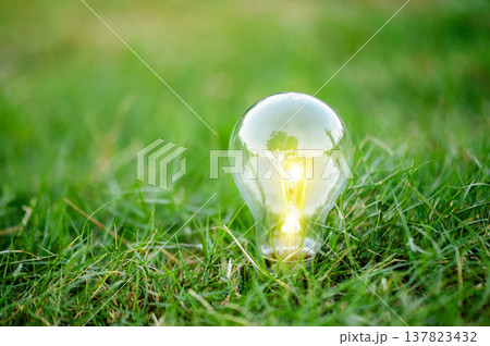 Renewable energy concept Earth Day or environment protection Hands protect forests that grow on the ground and help save the world. 137823432