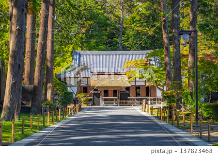 宮城県松島町 瑞巌寺の塔頭・愛姫の菩提寺である陽徳院 宮城県松島町 瑞巌寺の塔頭・愛姫の菩提寺である陽徳院 137823468
