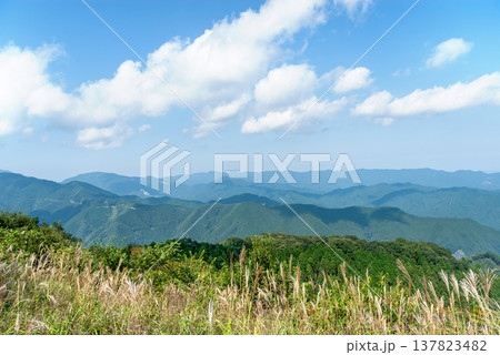 棒ノ折山（棒ノ嶺）山頂からの大パノラマ、秋の訪れを告げるススキと連なる秩父の山並み 137823482