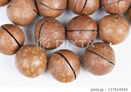 Closeup of nut shell textures. Fragmented macadamia shells with tactile surface details. Macro photography highlighting cracked shells and powdery residue detail 137824456