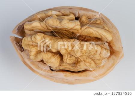 Nut brain imagery. Walnut shell with textured folds. Closeup of walnut kernel showing intricate details. Detailed macro view of raw walnut with textured brainlike folds Nut brain imagery. Walnut shell with textured folds. Closeup of walnut kernel showing intricate details. Detailed macro view of raw walnut with textured brainlike folds 137824510