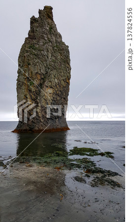 A solitary sea stack graces the Pacific coastline of the Kuril Islands, adorned with vibrant algae and contrasting black volcanic sand. A solitary sea stack graces the Pacific coastline of the Kuril Islands, adorned with vibrant algae and contrasting black volcanic sand. 137824556