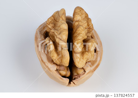 Walnut kernel closeup reveals brainlike ridges, studiolit on white background, highdetail texture and natural brown tones, ideal for health and concept visuals Walnut kernel closeup reveals brainlike ridges, studiolit on white background, highdetail texture and natural brown tones, ideal for health and concept visuals 137824557