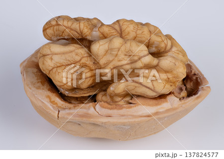 Classic styled still life of walnut shell. Retroinspired composition featuring half walnut with nostalgic lighting effects and fine grain texture for editorial purposes 137824577