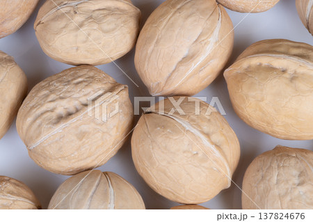 Piled walnuts encased in shells under natural light on white surface. Organic daylight highlights loose arrangement of shelled walnuts on bright white kitchen surface 137824676