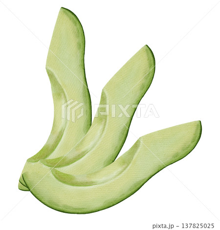 A set of hand-drawn watercolor illustrations of avocado halves, pitted and unpitted. Perfect for stores, cafes, packaging, menu, logos, and projects related to healthy eating and cosmetics. A set of hand-drawn watercolor illustrations of avocado halves, pitted and unpitted. Perfect for stores, cafes, packaging, menu, logos, and projects related to healthy eating and cosmetics. 137825025
