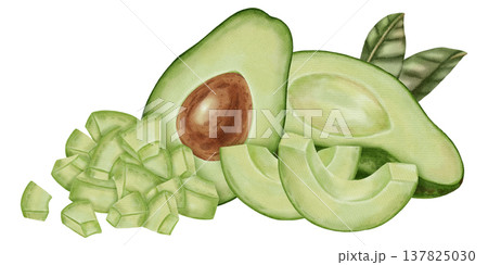 A hand-drawn watercolor illustration of an avocado composition with slices and leaves. Suitable for stores, cafes, packaging, menus, and products related to cooking, skincare, and health. 137825030