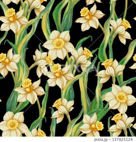 Seamless watercolor pattern with white daffodils and green leaves. Hand-drawn spring botanical illustration. Perfect for textiles, packaging, cards, and invitations. 137825124