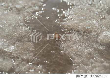 Micro channels with sediment and shallow brown flow exposing erosion traces. Close textured surface with fine granules and shallow brown flow highlighting erosion patterns 137825209