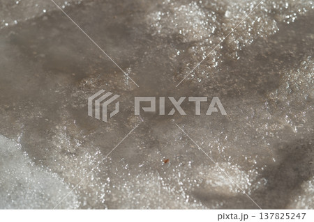 Polluted melting snow. Environmental depiction of seasonal water contamination and pollution. Realistic portrayal of urban pollution through melting snow and sediment flowing 137825247