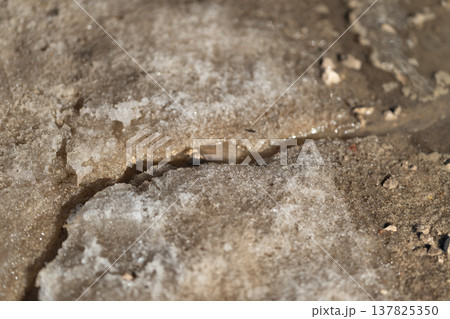 Frozen surface with water features. Closeup of icy fractured surface textures. Texture capturing frozen ground with meltwater pathways and erosion markings for analysis 137825350
