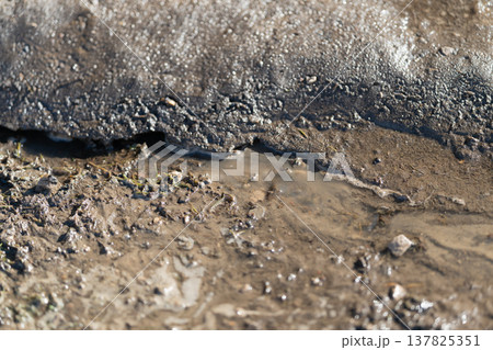Cracked ice panels over muddy banks. Eroding ice and soil reveal dynamic seasonal processes. Seasonal erosion captured through fractured ice and saturated soil movement Cracked ice panels over muddy banks. Eroding ice and soil reveal dynamic seasonal processes. Seasonal erosion captured through fractured ice and saturated soil movement 137825351