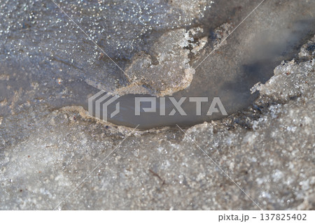 Melting snow rivulet on asphalt surface, dirty slush forming narrow brown channel, sparkling ice crystals catching sunlight, closeup texture highlighting grit and sediment 137825402