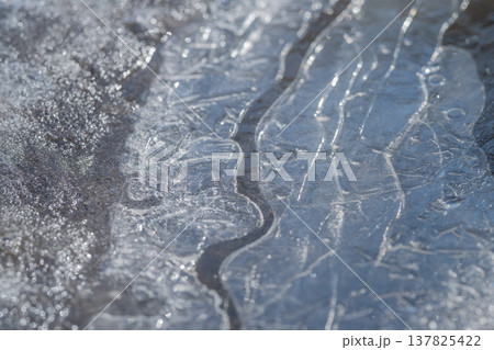 Reflective ice in spring captures delicate refraction and streaked light across thin translucent sheet, shallow water visible beneath surface creating subtle shimmer Reflective ice in spring captures delicate refraction and streaked light across thin translucent sheet, shallow water visible beneath surface creating subtle shimmer 137825422