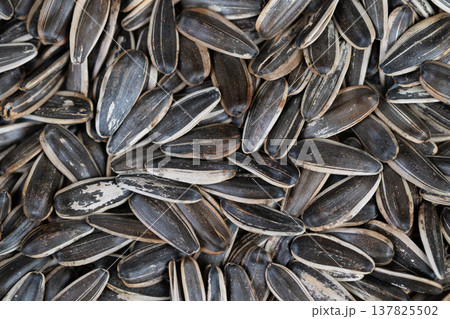 Roasted sunflower seeds ingredient background, clean neutral palette, versatile for culinary recipes, packaging backdrops, close grainy texture, subtle salt sheen Roasted sunflower seeds ingredient background, clean neutral palette, versatile for culinary recipes, packaging backdrops, close grainy texture, subtle salt sheen 137825502