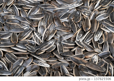 Roasted sunflower seeds artisan salted snack, warm tones, handroasted suggestion, rustic appeal, textured shells with salt flakes, perfect for specialty food promotion Roasted sunflower seeds artisan salted snack, warm tones, handroasted suggestion, rustic appeal, textured shells with salt flakes, perfect for specialty food promotion 137825506