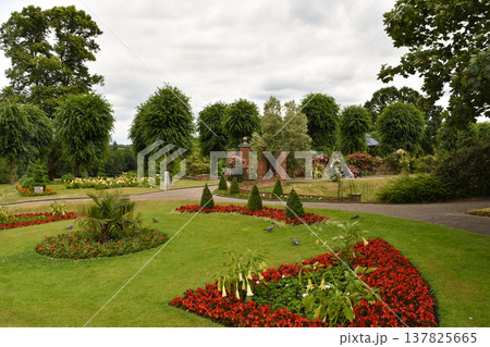 Colourful Flowerbeds in Colchester Castle Park Colourful Flowerbeds in Colchester Castle Park 137825665