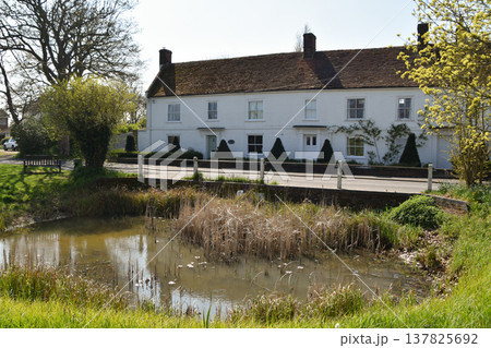 Pond and cottages on Great Bentley Village Green in Essex Pond and cottages on Great Bentley Village Green in Essex 137825692