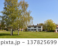 Trees and a house on Great Bentley Village Green in Essex 137825699