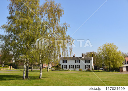 Trees and a house on Great Bentley Village Green in Essex 137825699