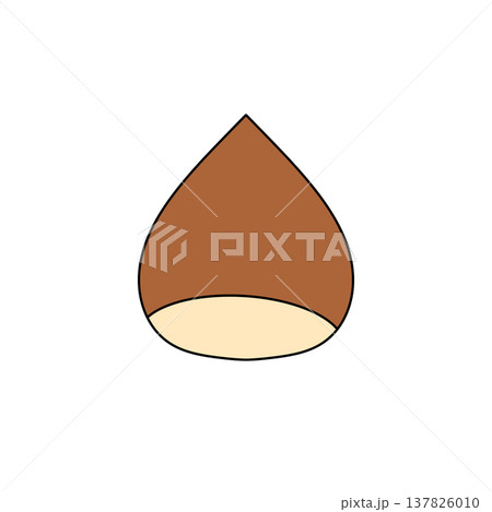 Brown nut with beige bottom, isolated on white Brown nut with beige bottom, isolated on white 137826010