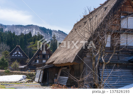 白川郷の合掌造り民家と山の風景(岐阜県) 白川郷の合掌造り民家と山の風景(岐阜県) 137826193