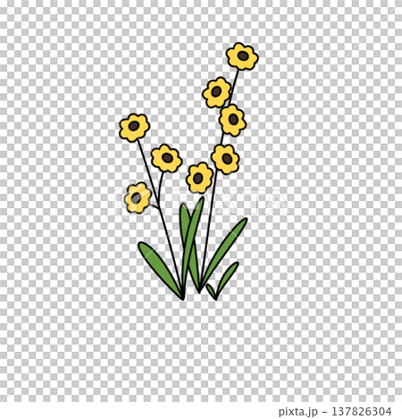 Bright yellow flowers bloom with dark centers Bright yellow flowers bloom with dark centers 137826304