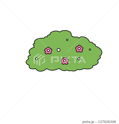Fluffy green bush blooms with pink flowers Fluffy green bush blooms with pink flowers 137826306