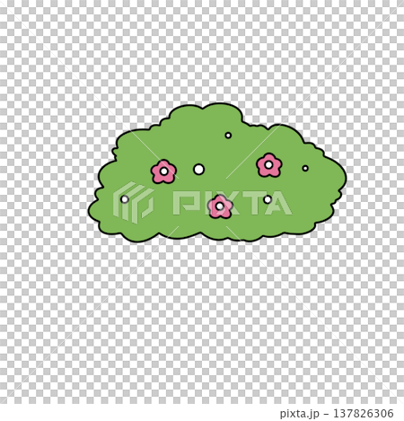 Fluffy green bush blooms with pink flowers Fluffy green bush blooms with pink flowers 137826306