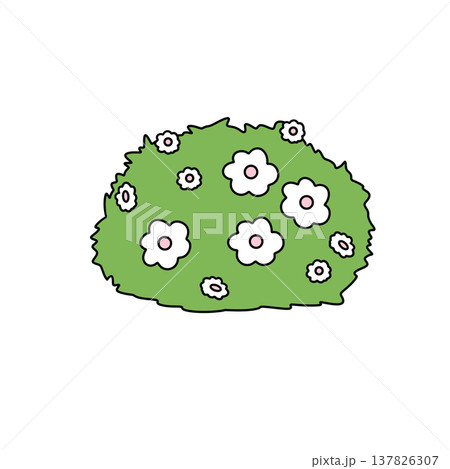 Green bush blooms with white flowers Green bush blooms with white flowers 137826307