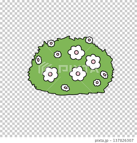 Green bush blooms with white flowers Green bush blooms with white flowers 137826307