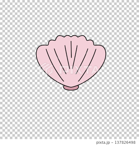 Soft pink shell rests against plain white background Soft pink shell rests against plain white background 137826498