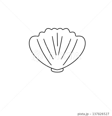 Simple outline of a seashell on plain white background Simple outline of a seashell on plain white background 137826527