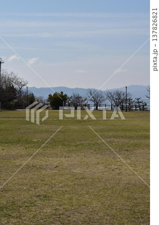 芝生公園と瀬戸内海の眺め縦位置 137826821