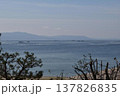 松の木越しに見える瀬戸内海と山の風景縦位置 137826835