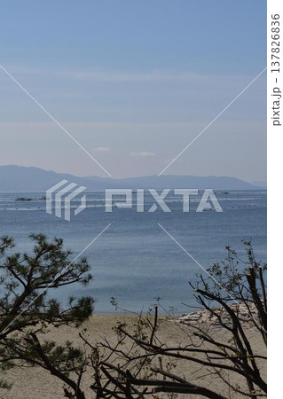 石造り防波堤と穏やかな日本の海 137826836