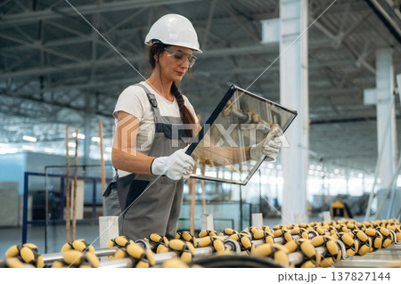 Soft yellow material on the conveyor for glass. Woman is in the window making factory Soft yellow material on the conveyor for glass. Woman is in the window making factory 137827144