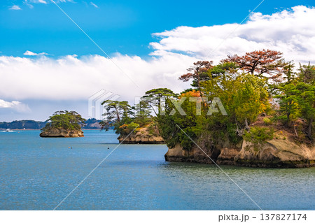 宮城県松島町 穏やかな海に島々が重なる日本三景・松島の秋の風景 137827174