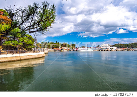 宮城県松島町 青空と雲が反射する穏やかな松島湾と出航を待つ複数の大型遊覧船 137827177