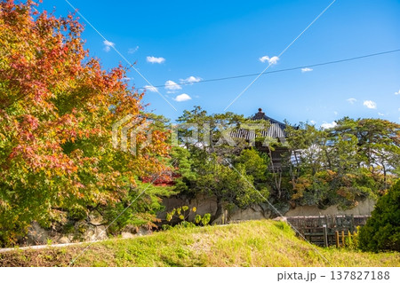 宮城県松島町 色鮮やかな紅葉と秋晴れの青空に映える瑞巌寺五大堂 宮城県松島町 色鮮やかな紅葉と秋晴れの青空に映える瑞巌寺五大堂 137827188
