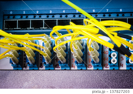 fiber optic cables connected into main data switch 137827203