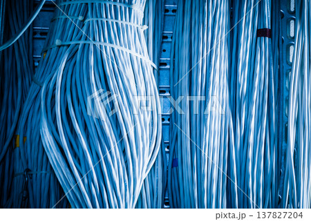 bunch of network cables in wave pattern leading across server ro 137827204