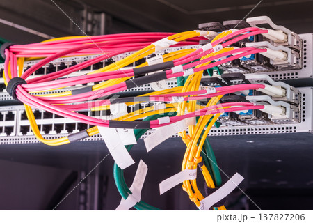 Fiber Optic cables connected to an optic ports 137827206